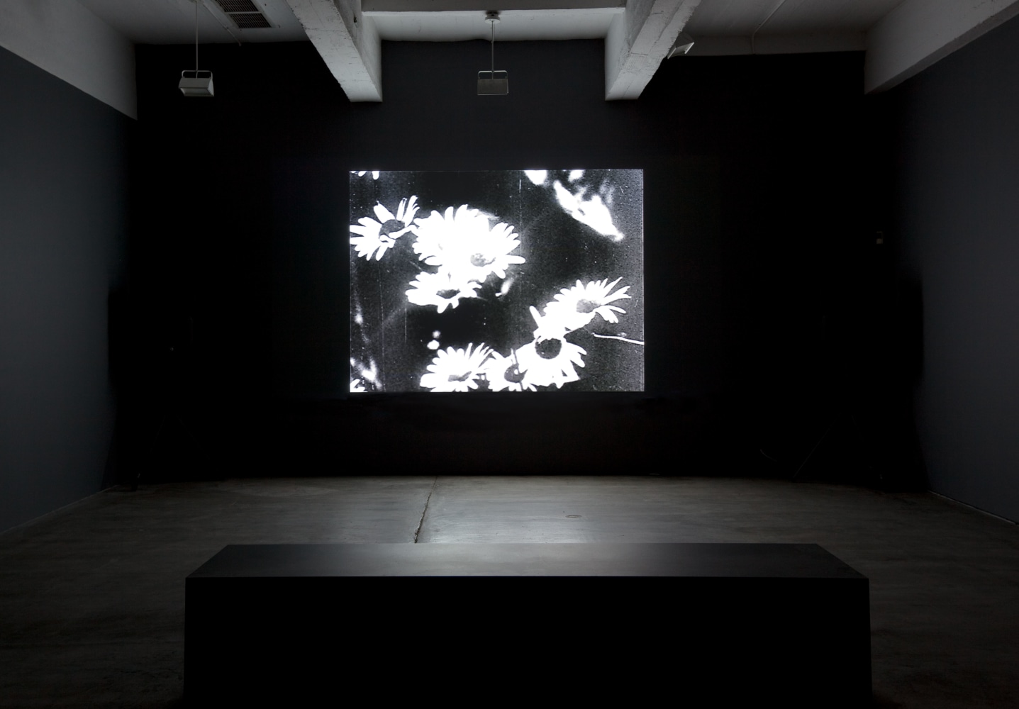 Installation view, Bruce Conner, Falling Leaves: An Anonymous Memorial, August 30 – September 24, 2011