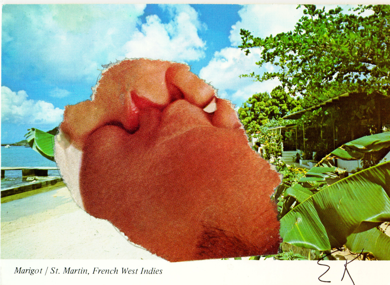 Ellsworth Kelly "Marigot" 1974 Postcard collage 4 1/4"x 6"