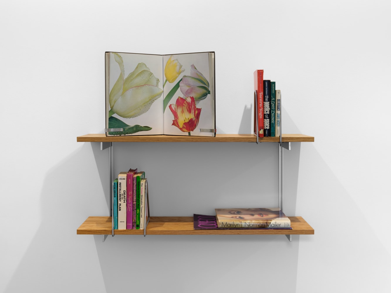 Carol Bove
Tantra Yoga, 2005
books and periodicals on wood and steel bookshelf
36 x 30 x 10 in. (91.4 x 76.2 x 25.4 cm)
Photo: Steven Probert