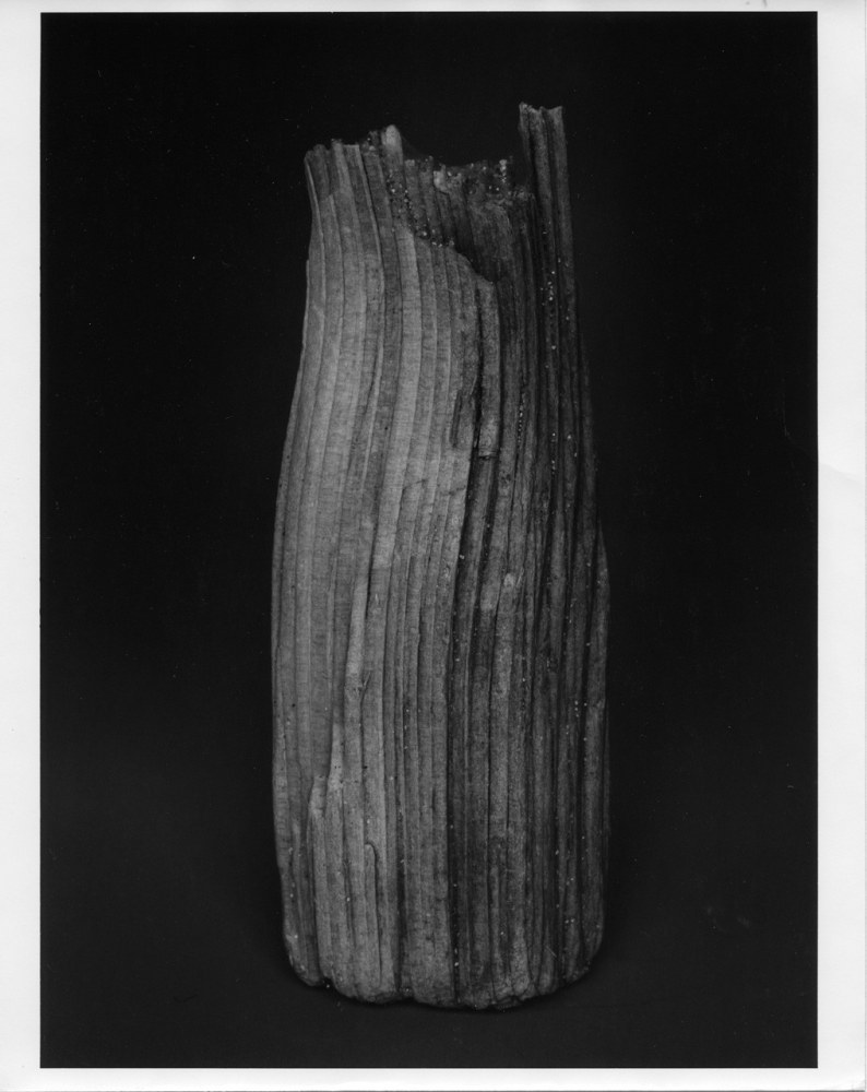 Peter Campus &quot;Last&quot; 1988 Silverprint photograph 39&quot; x 29 1/2&quot;