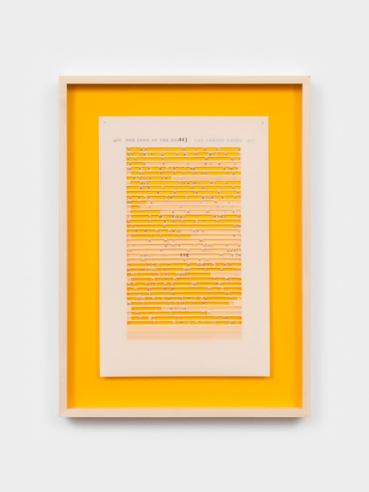 Jane Benson The Coming Thing (David Quammen) VI, 2023 archival pen on polyester film and acrylic paint on matboard 20 5/8 x 14 in. (52.4 x 35.6 cm)
