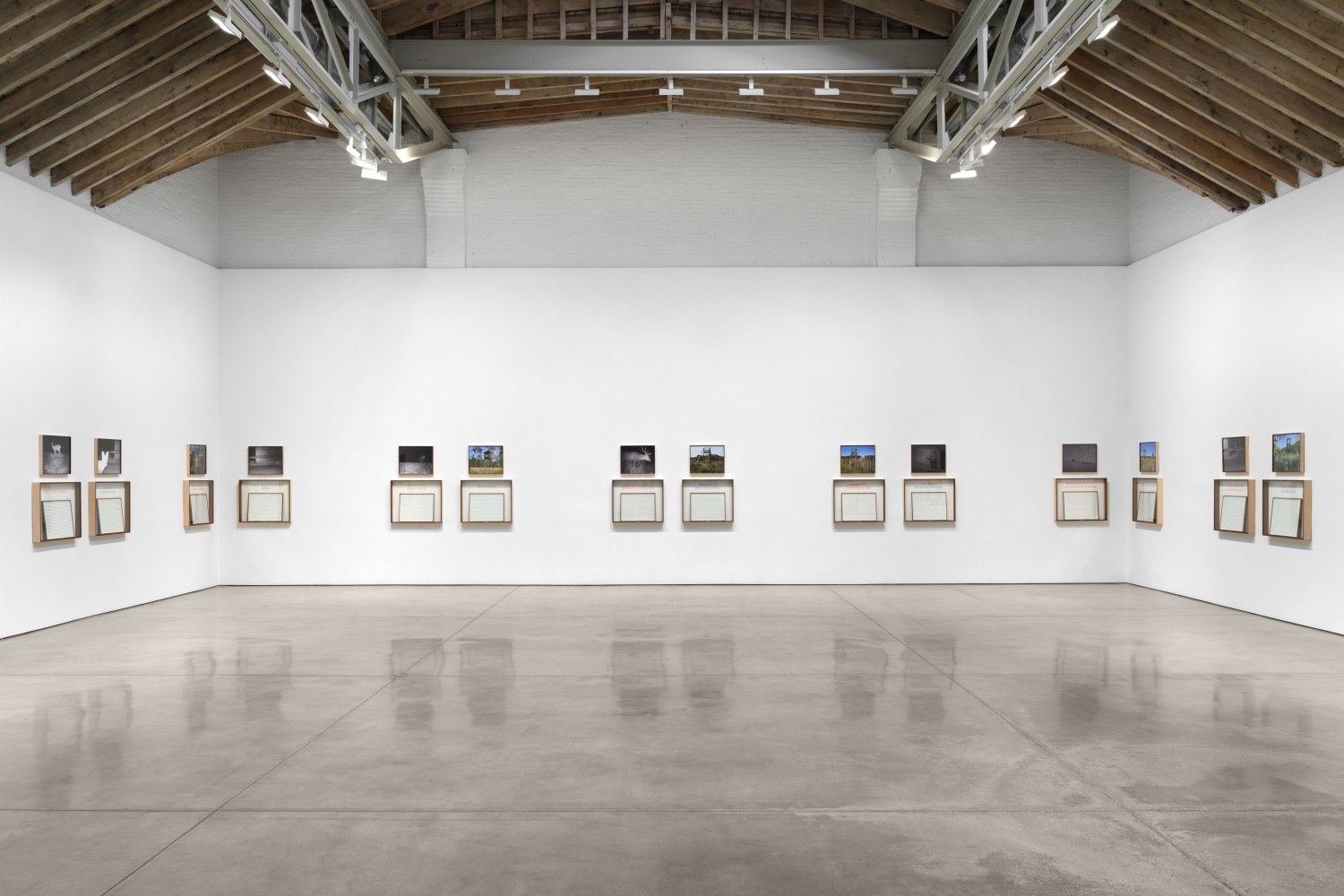 Installation view, Sophie Calle: On the Hunt, Paula Cooper Gallery, New York, September 5 – October 18, 2025. © 2025 Sophie Calle / Artists Rights Society (ARS), New York / ADAGP, Paris. Courtesy of Sophie Calle and Paula Cooper Gallery, New York. Photo: Steven Probert