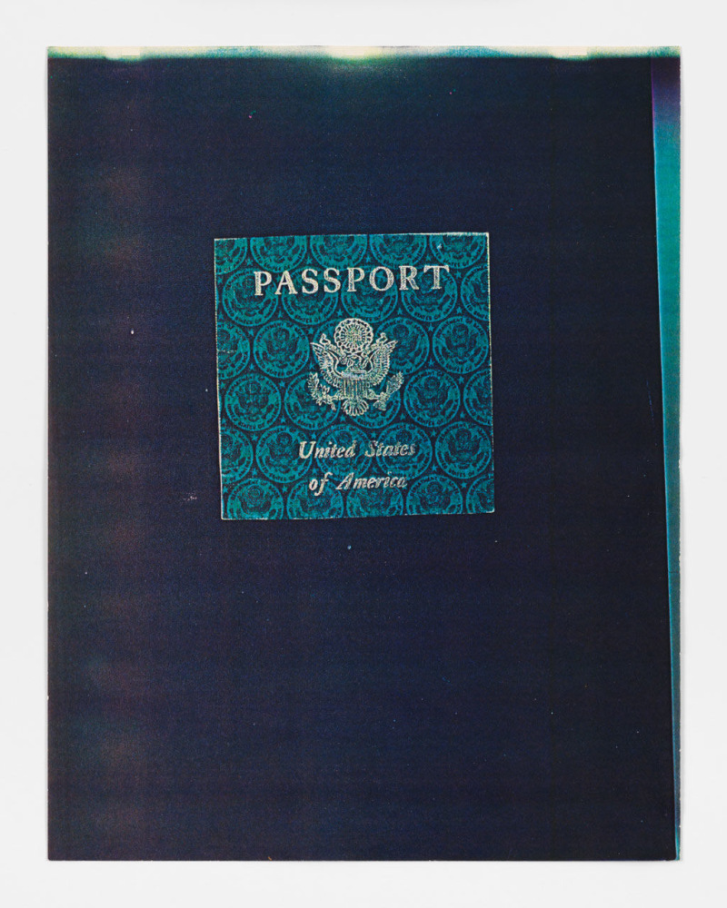 Carl Andre "Passport" 1970 88 color Xerox copies 33 5/8" x 21' 7 5/8"