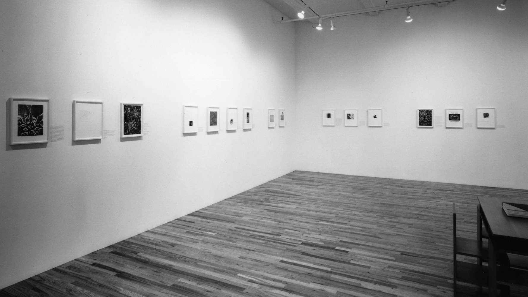 Installation view, A Bestiary, Paula Cooper Gallery, 149 Wooster Street, New York, May 30 - June 28, 1991. Photo: Geoffrey Clements.