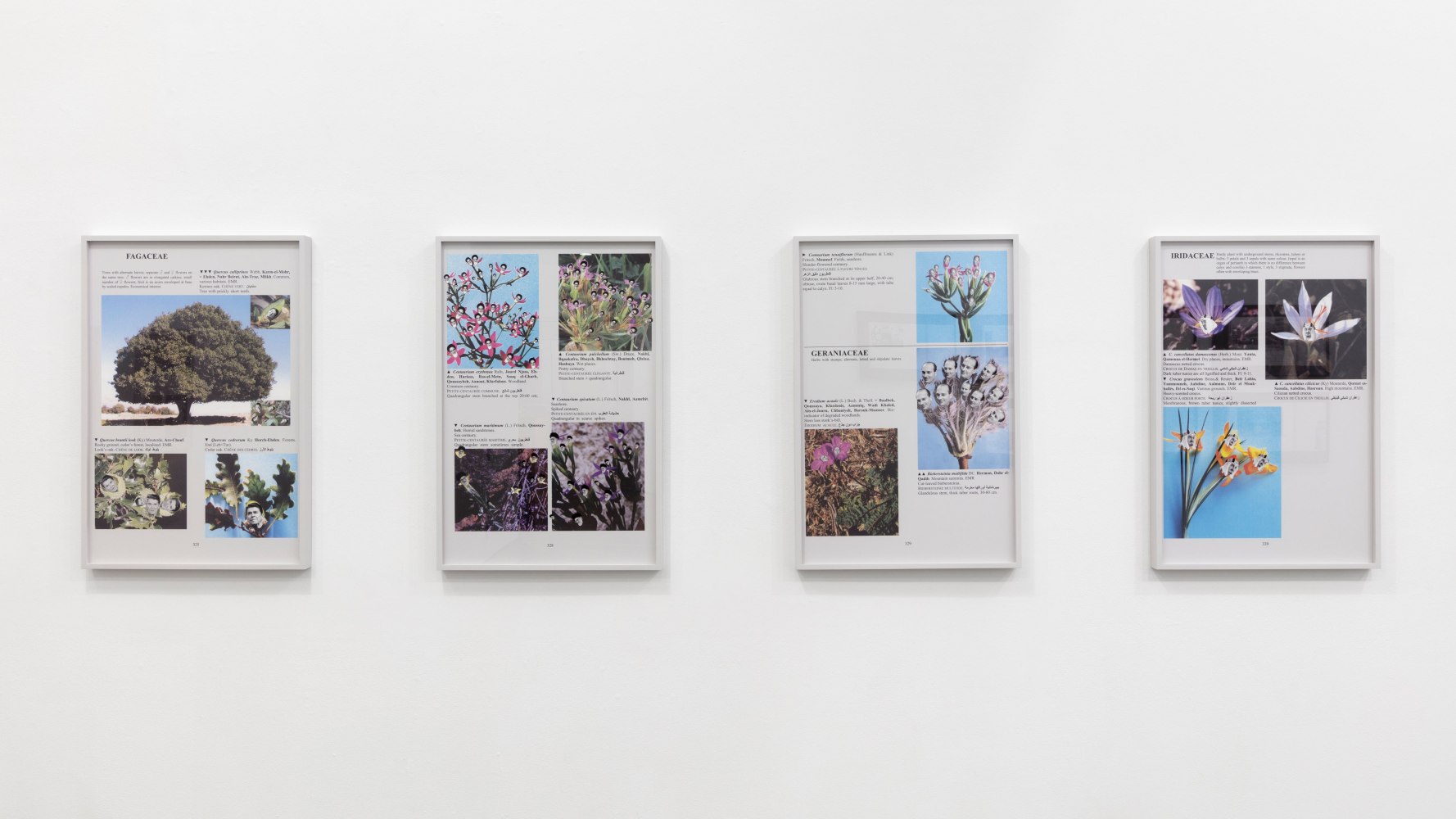 Installation view, Walid Raad, Better be watching the clouds, May 19 – July 14, 2017