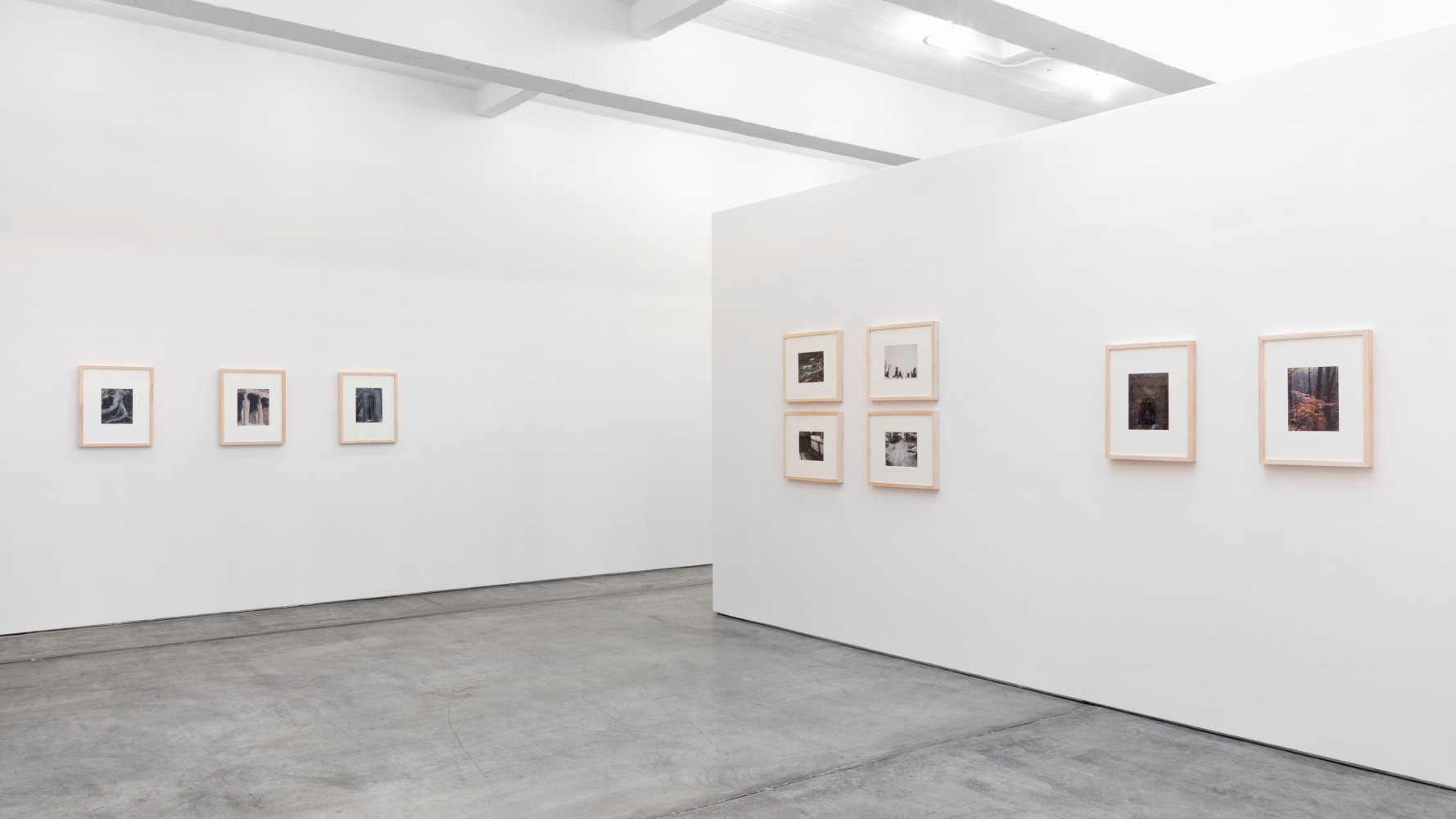 Installation view, Eliot Porter, Curated by Jack Macrae and Kristoffer Haynes, July 3 – August 16, 2013
