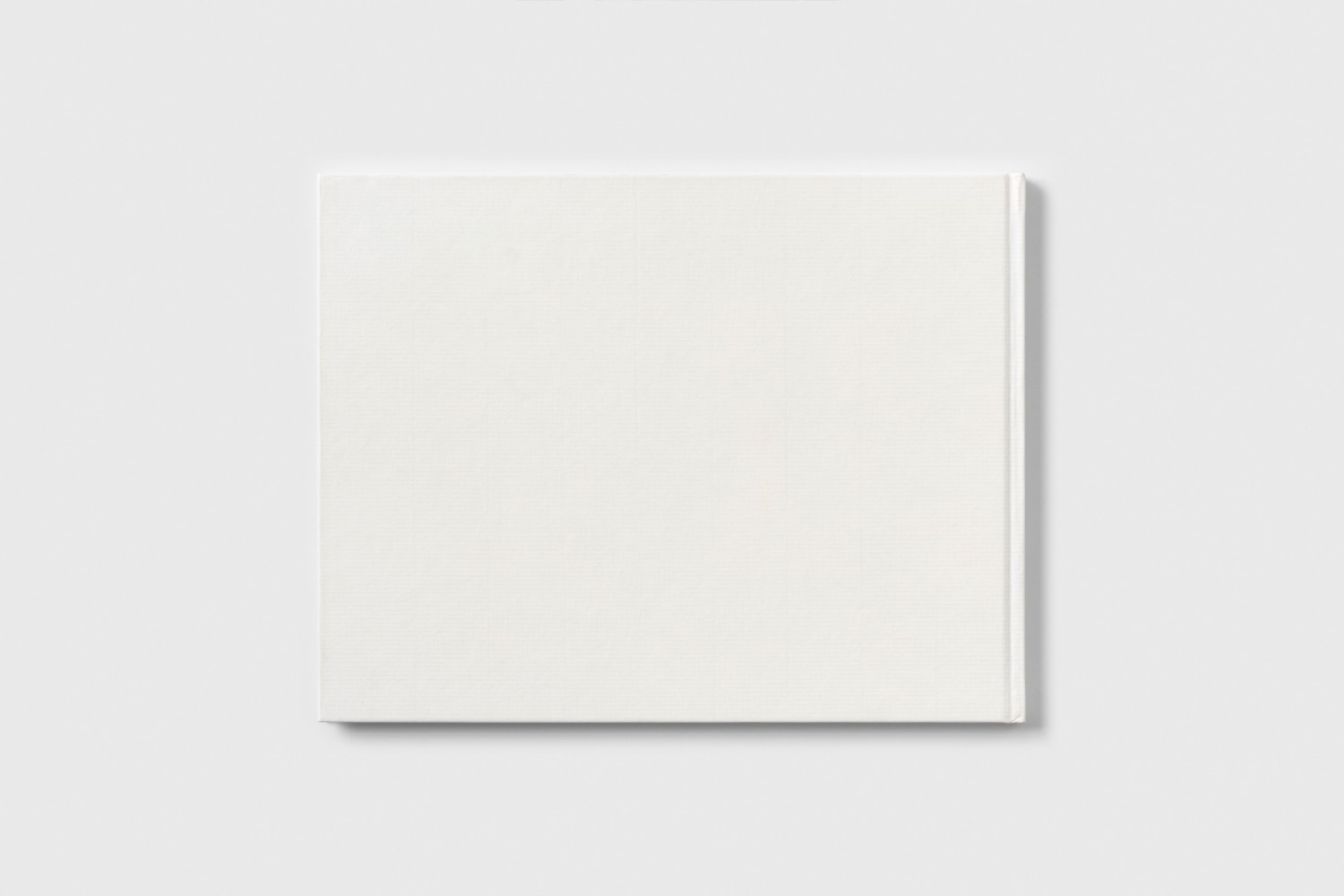 Dan Walsh Paintings Back Cover