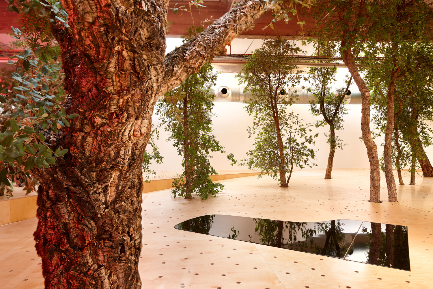 C&amp;eacute;leste Boursier-Mougenot
fluides, 2018
HAB GALERIE, Nantes, France,&amp;nbsp;for LE VOYAGE &amp;Agrave; NANTES
Photo &amp;copy; Laurent Lecat, 2018.

&amp;nbsp;