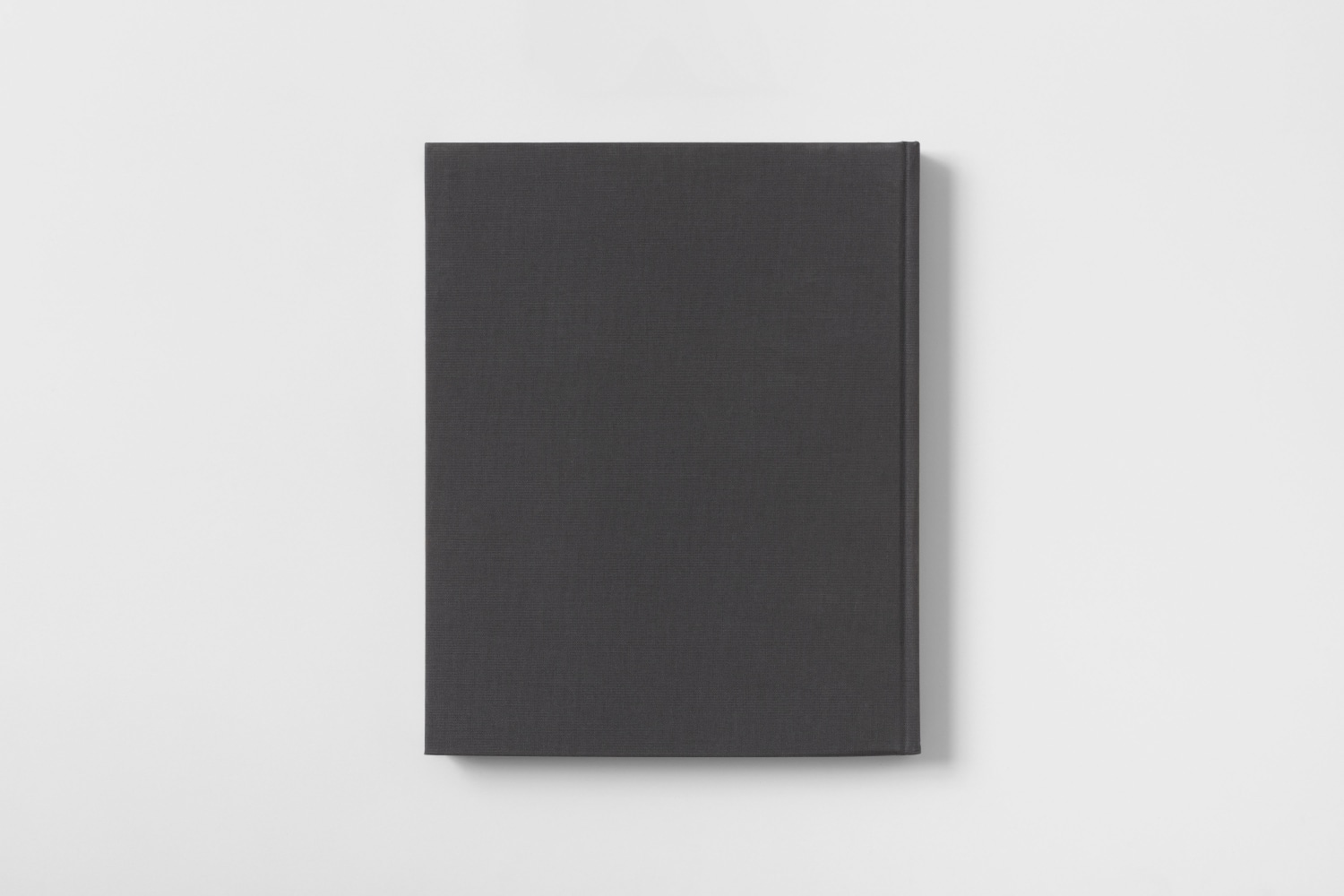 Bing Wright Everyday Pictures Back Cover