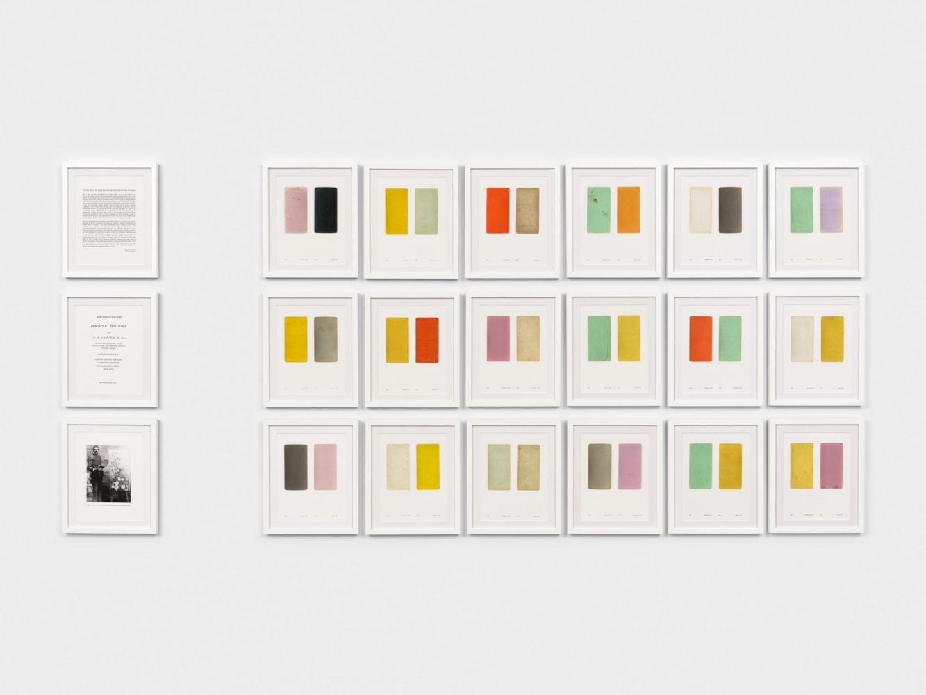Terry Adkins
Progressive Nature Studies (Portfolio), 2013
inkjet prints on pulled press paper each
image: 13 1/4 x 10 1/4 in. (33.7 x 26 cm)
each frame: 17 1/4 x 14 1/4 in. (43.8 x 36.2 cm)
21 pieces total
overall: 55 3/4 x 120 3/4 in. (141.6 x 306.7 cm)
portfolio box: 1 x 15 x 12 in (2.54 x 38.1 x 30.48 cm)
Edition 2 of 18, 1AP (4 editions &amp;amp; AP printed)