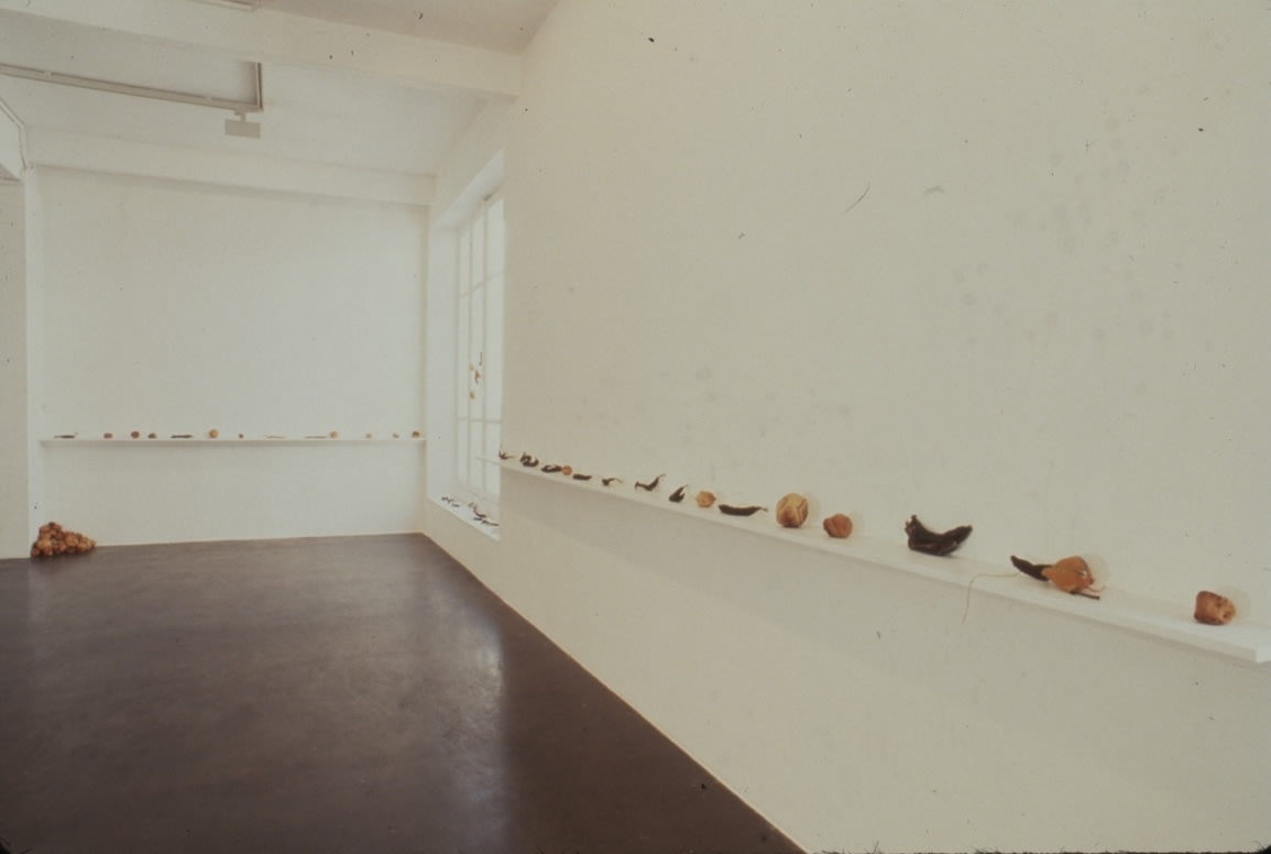 Zoe Leonard "Strange Fruit (For David)" 1992-97 295 banana, orange, grapefruit, lemon and avocado peels, thread, zippers, buttons,  sinew, needles, plastic, wire, stickers, fabric trim, wax 21 '6" X 22'1 1/2" (655.3 x 674.4 cm)