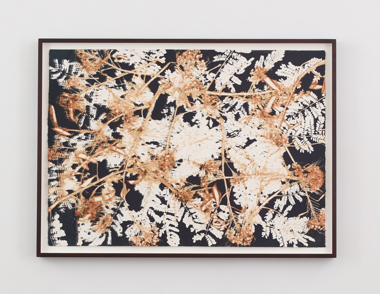 Terry Adkins 
Botanical Print 292, 2005
unique collograph
29 1/2 x 42 in. (74.9 x 106.7 cm)