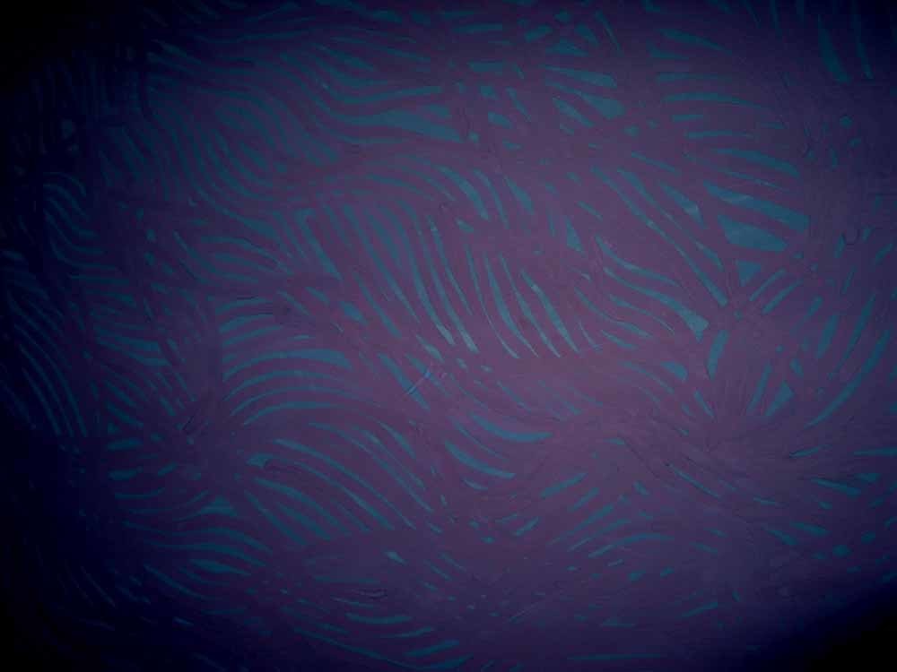 Sol LeWitt "Web-like Grid" 2001 Gouache on paper 60 1/2 x 68 1/4 in.
