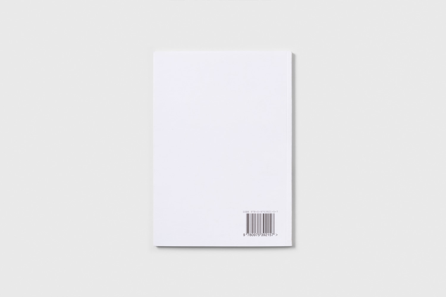 Celeste Boursier-Mougenot UMASS Back Cover