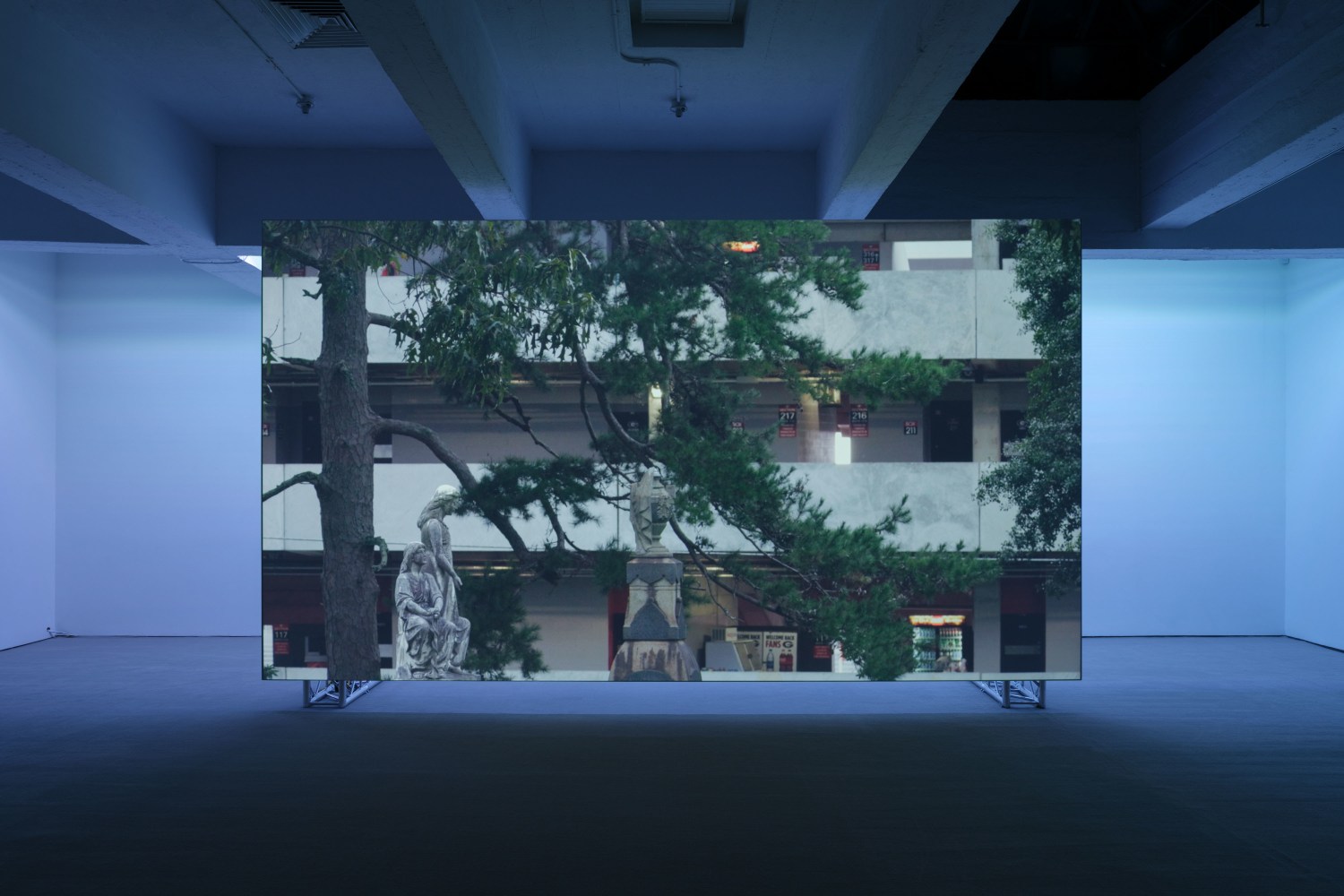 Installation view, Paul Pfeiffer: Red Green Blue, November 12 - December 22, 2022, 521 W 21st Street