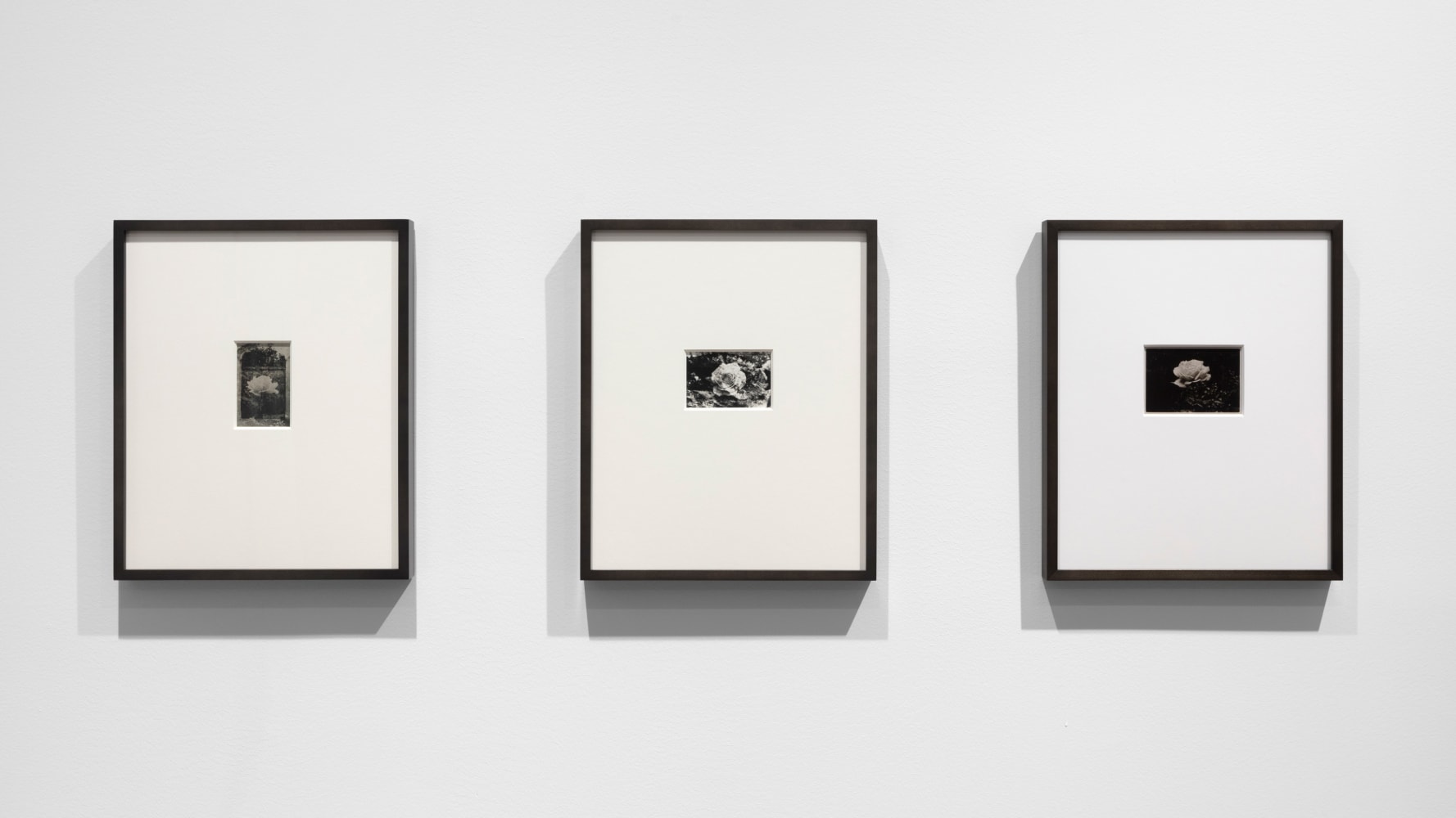BRUCE CONNER & JAY DEFEO