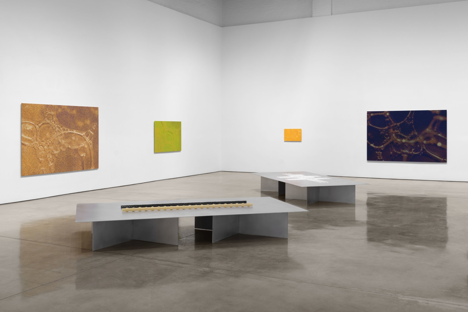 Installation view, Tauba Auerbach: Free Will, Paula Cooper Gallery, New York, March 18 - April 22, 2023. Photo: Steven Probert