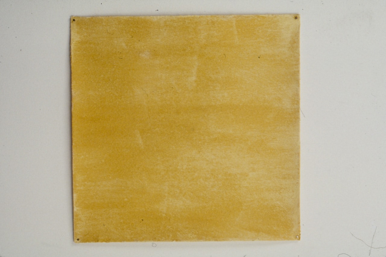 Meg Webster &quot;Fenugreek&quot; 2000 Fenugreek on paper 14 x 14&quot;