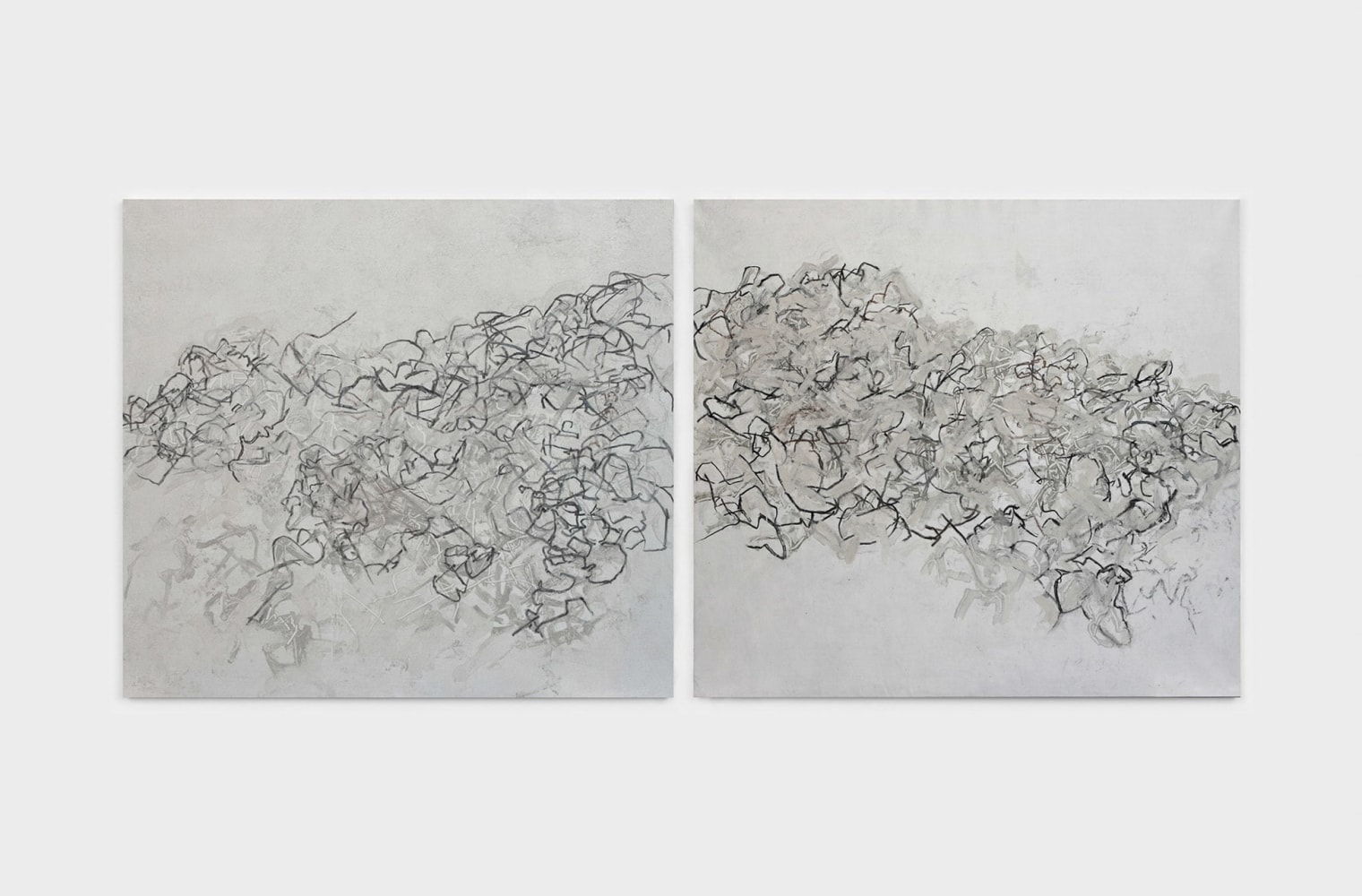 Beatrice Caracciolo Bosco Lontano VIII, 2022 pigment, gouache, and charcoal on canvas, two panels each panel: 58 x 63 1/2 in. (147.3 x 161.3 cm)  overall: 58 x 129 in. (147.3 x 327.7 cm)