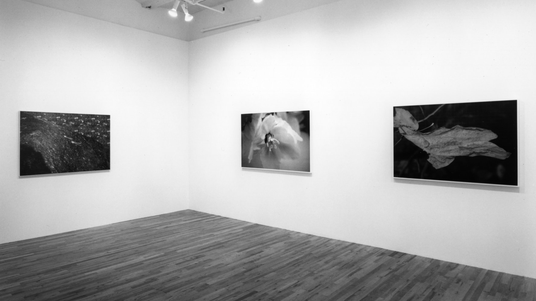 Installation view, New Work, Paula Cooper Gallery, 149 Wooster Street, New York, October 14 - November 13, 1993. Photo: Geoffrey Clements.