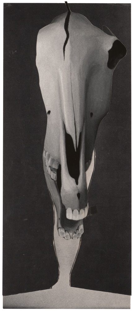 Jay DeFeo Untitled, 1976 collage of photomechanical reproduction, gelatin silver print and transparent pressure-sensitive tape 9 9/16 x 4 in. (24.3 x 10.2 cm)