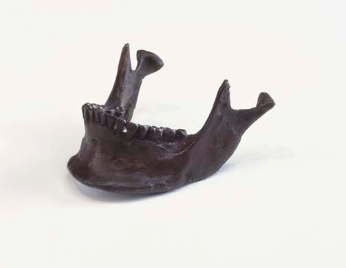 Sherrie Levine "Jawbone" 2006 Bronze with patina 2 1/2 x 4 x 4 1/2 in.