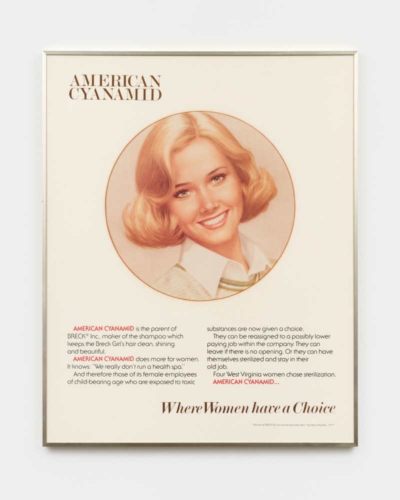 Hans Haacke
The Right to Life, 1979
color photograph on 3-color silkscreen print, in brass frame under glass
50 1/2 x 40 1/2 in. (128.3 x 102.9 cm)