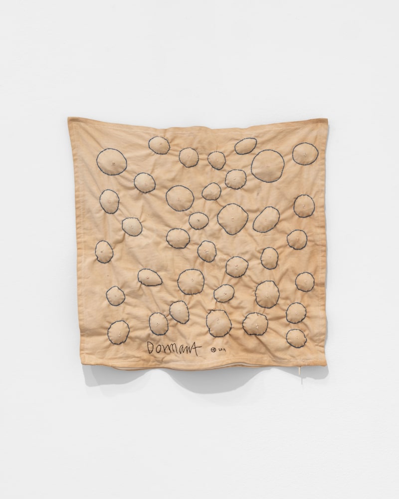 Veronica Ryan, Multiple Conversations XX (Dormant), 2019 fabric, thread, seeds, 17 1/2 x 18 x 1 in. (44.5 x 45.7 x 2.5 cm)
