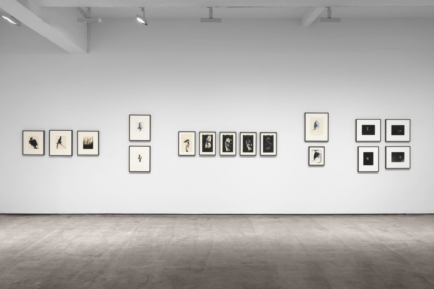 Installation view, Inventing Objects: Jay DeFeo’s Photographic Work, Paula Cooper Gallery, New York, September 9 – October 28, 2023.  © 2023 The Jay DeFeo Foundation/Artists Rights Society (ARS), New York. Photo: Steven Probert.