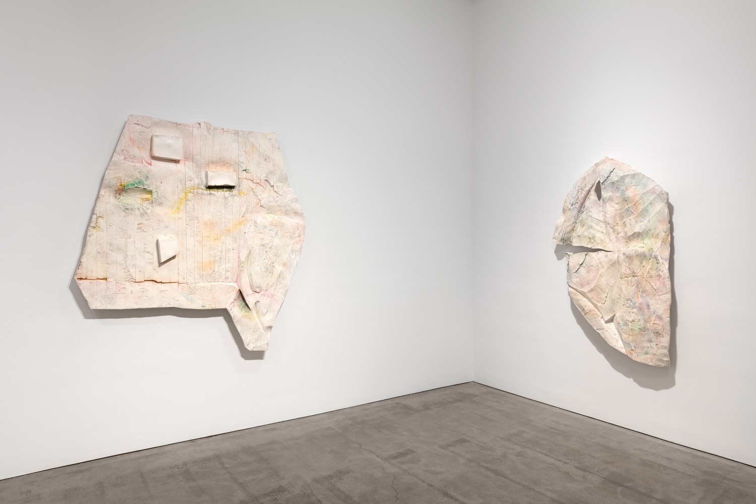 Installation view, Céleste Boursier-Mougenot, Liz Glynn, Robert Grosvenor, Justin Matherly, Paul Pfeiffer, April 4 – May 4, 2019