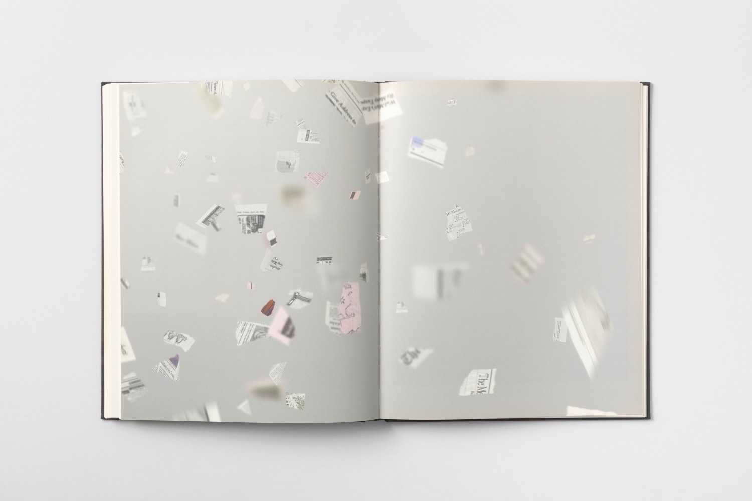 Bing Wright Everyday Pictures 5