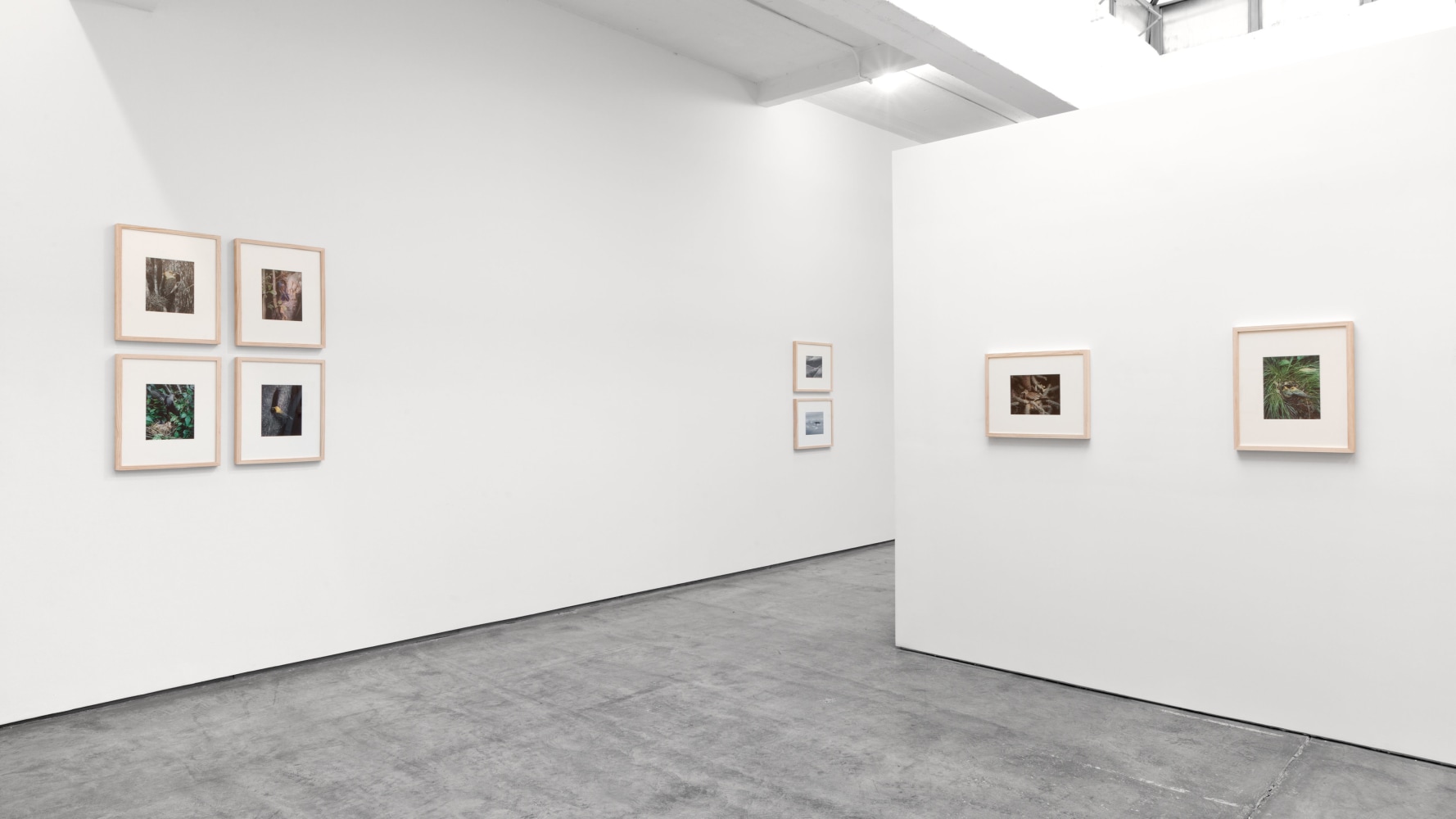 Installation view, Eliot Porter, Curated by Jack Macrae and Kristoffer Haynes, July 3 – August 16, 2013