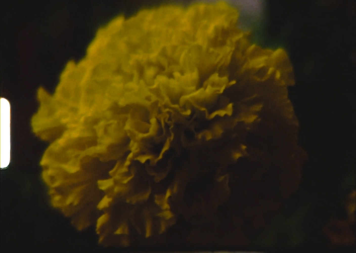 Ja'Tovia Gary Quiet As It's Kept, 2023 HD and SD footage, 8mm and 16mm film digital transfer, color and black and white, stereo sound, 16:9 (dimensions variable)