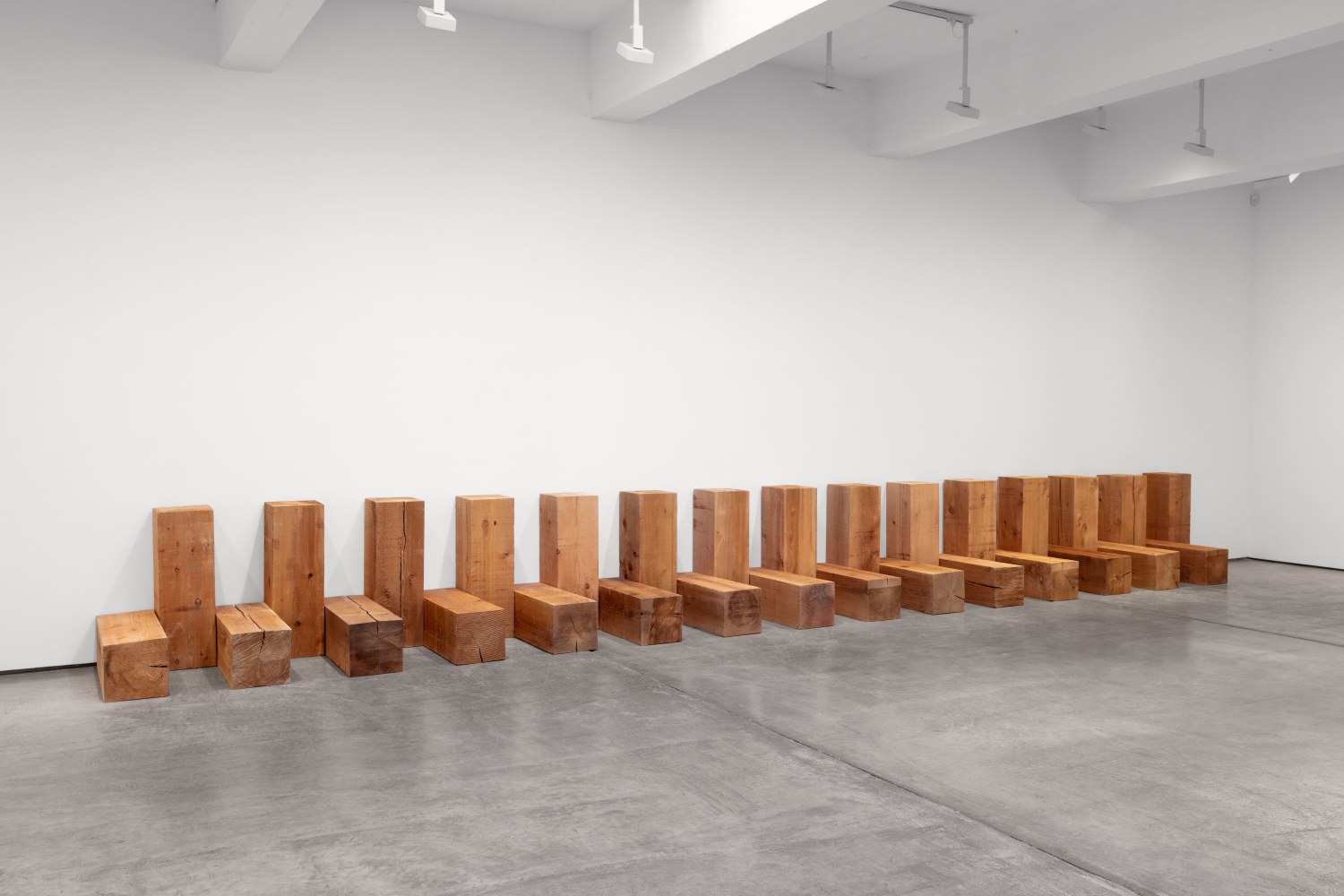 Installation view, Carl Andre & Meg Webster, February 20 – April 10, 2021