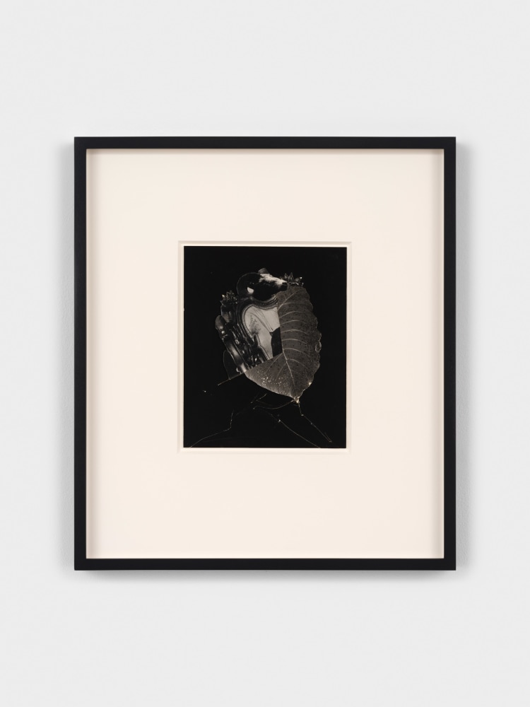 Jay DeFeo
Untitled (for B.C.), 1973
photo collage on matboard
8 3/8 x 6 3/4 inches (21.3 x 17.1 cm)
© 2023 The Jay DeFeo Foundation/Artists Rights Society (ARS), New York.
Photo: Steven Probert
