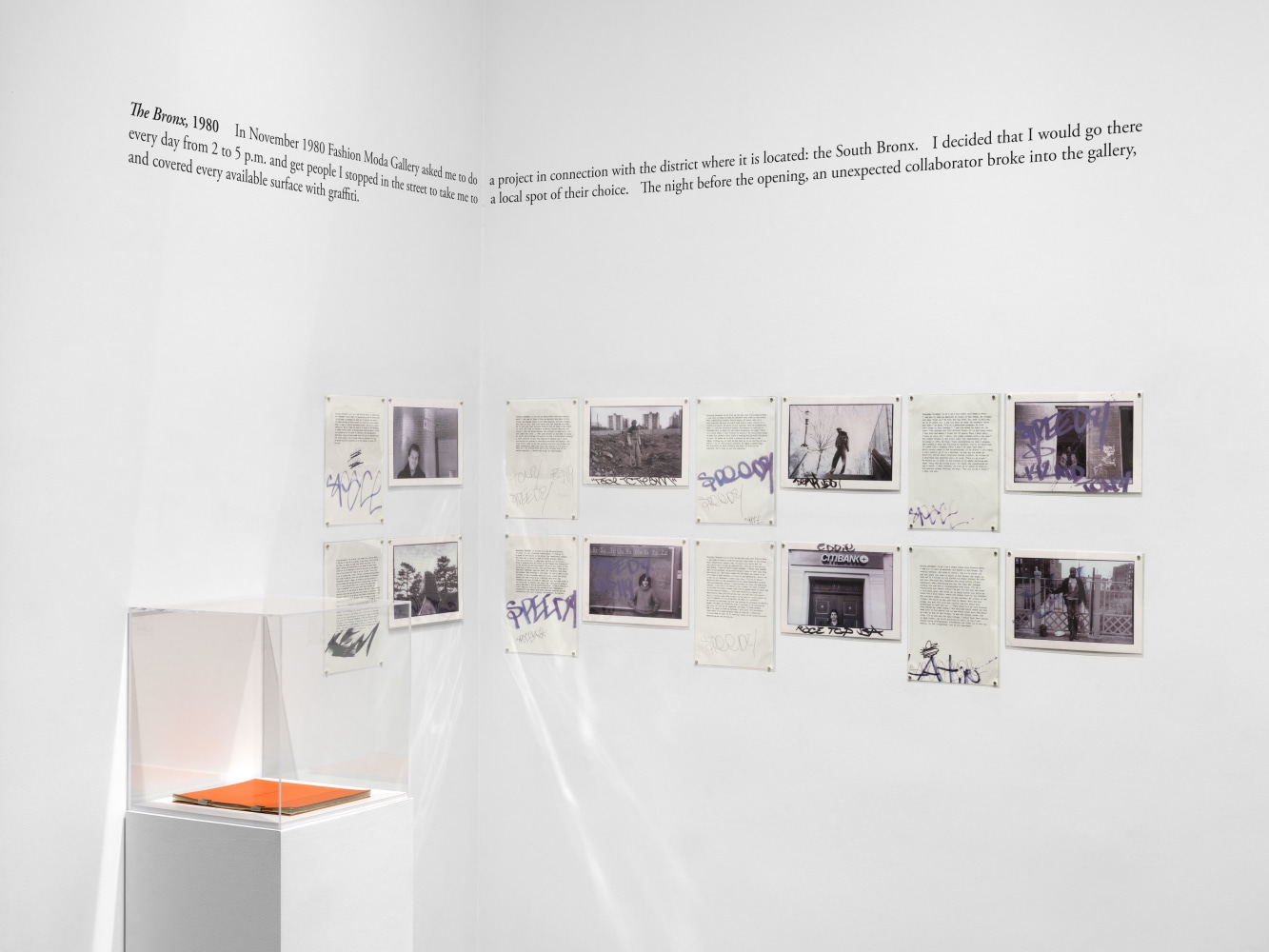 Installation view, Sophie Calle: On the Hunt, Paula Cooper Gallery, New York, September 5 – October 18, 2025. © 2025 Sophie Calle / Artists Rights Society (ARS), New York / ADAGP, Paris. Courtesy of Sophie Calle and Paula Cooper Gallery, New York. Photo: Steven Probert