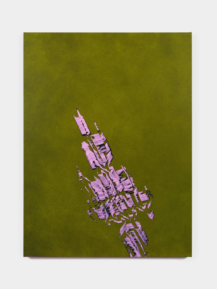 Tauba Auerbach Grain - Mandelbrot Quartet Escape (Ventrella Variation), 2022 acrylic paint on canvas, wood stretcher 60 x 45 in. (152.4 x 114.3 cm)