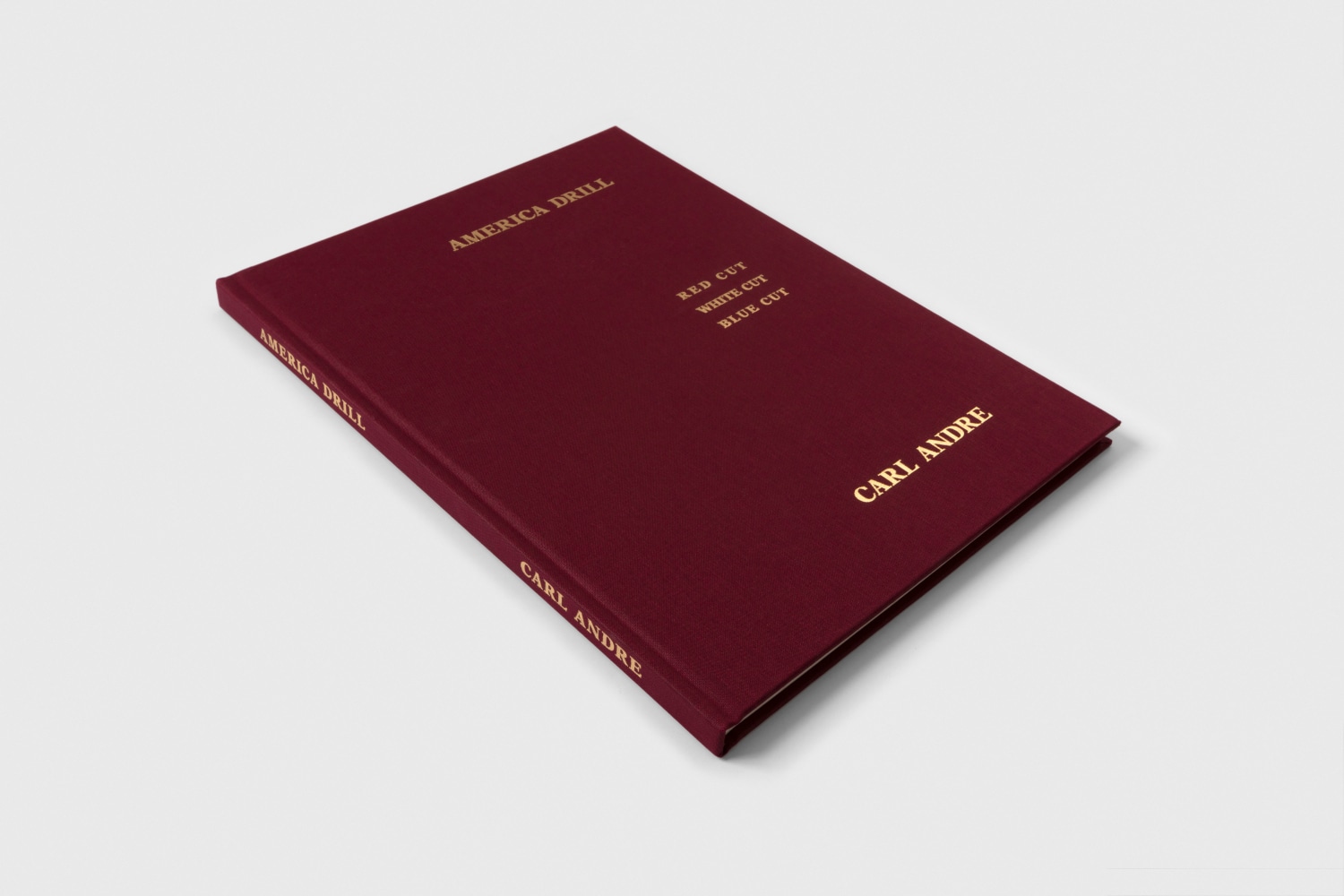 Carl Andre America Drill 4