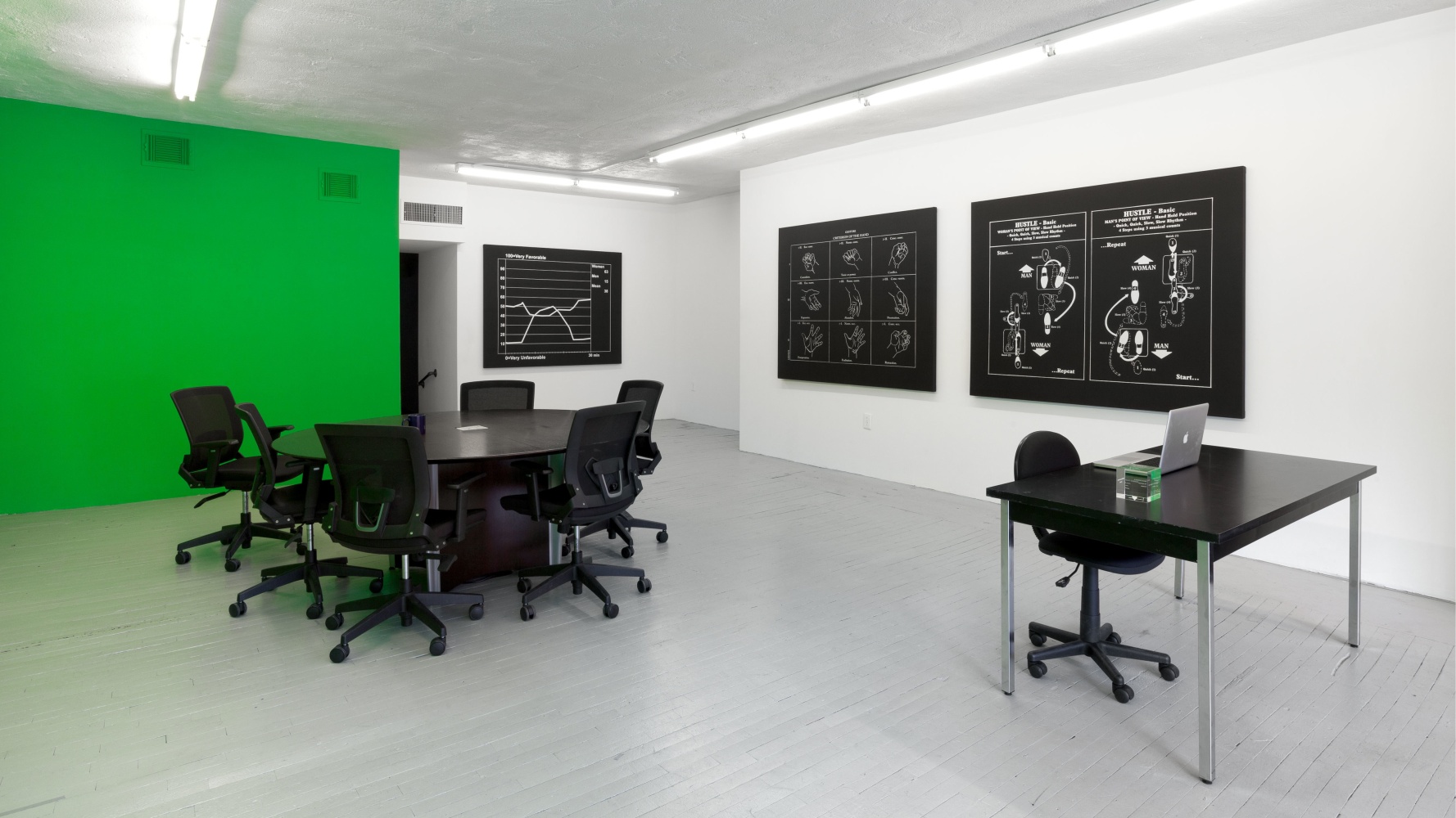 Installation view, Liz Magic Laser, Absolute Event, November 16 – 30, 2013