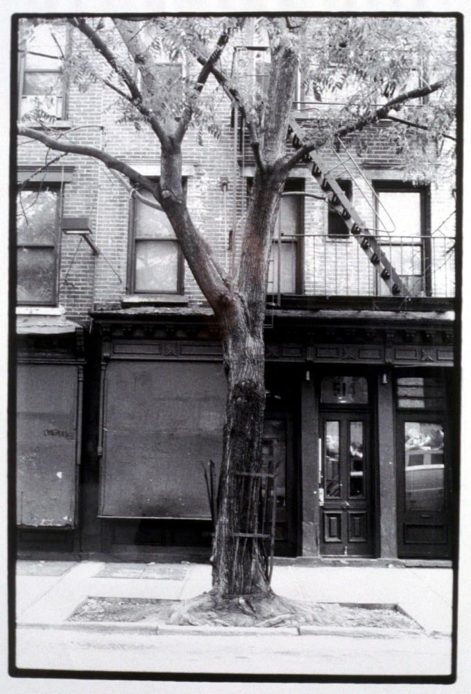 Zoe Leonard "Tree & Fence E. 6th St." 1998/99 Gelatin silver print 22" x 15"
