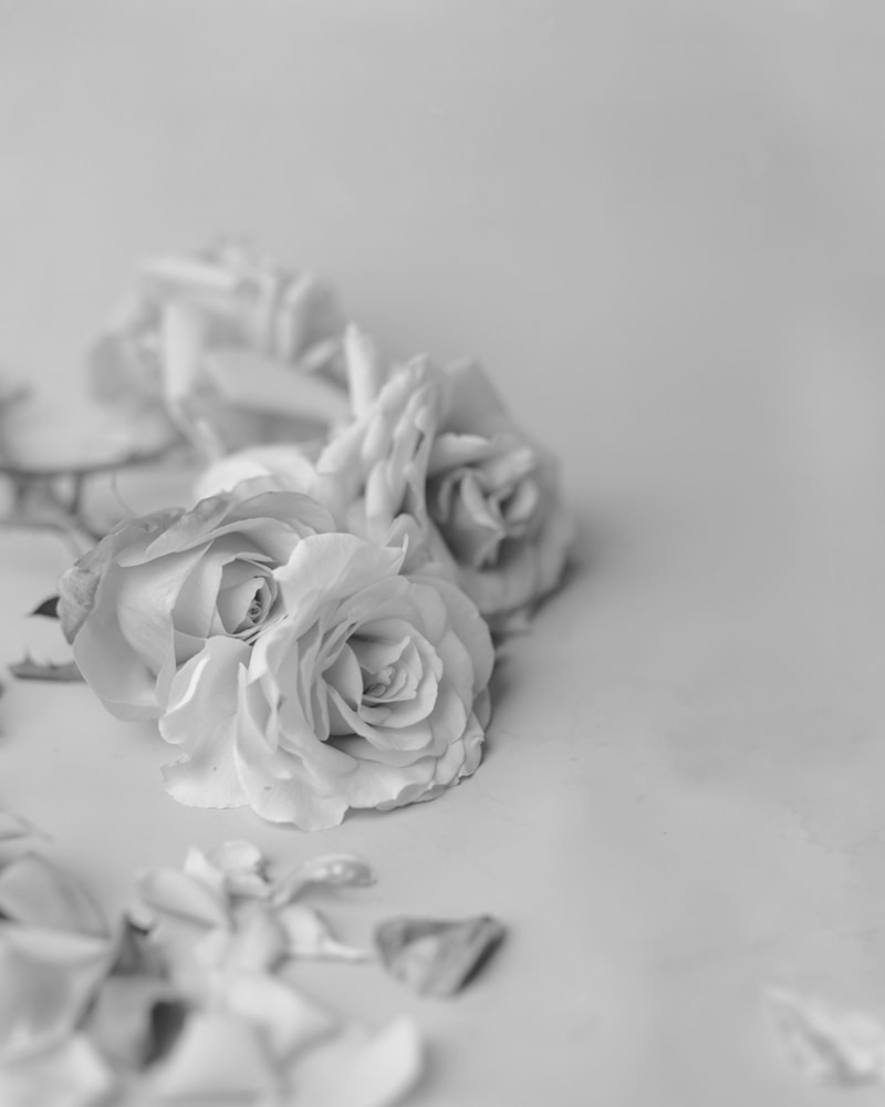 Rose (Reclining), 1996 archival ink jet print frame: 59 x 49 x 3 in. (149.9 x 124.5 x 7.6 cm) Edition of 5