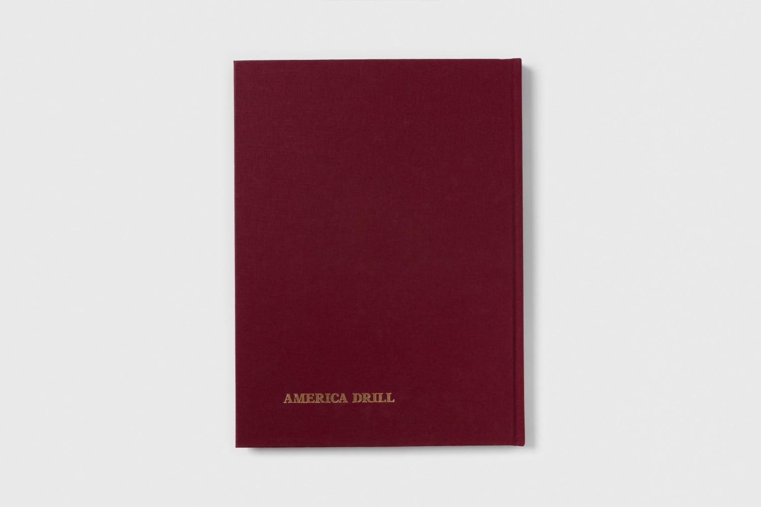 Carl Andre America Drill 3