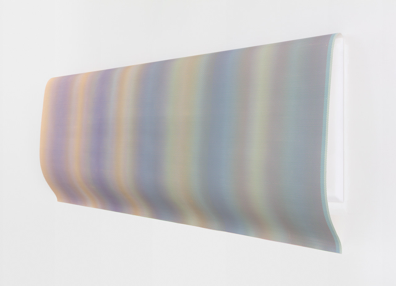 Jane Benson, System of Nature (Reflection II),