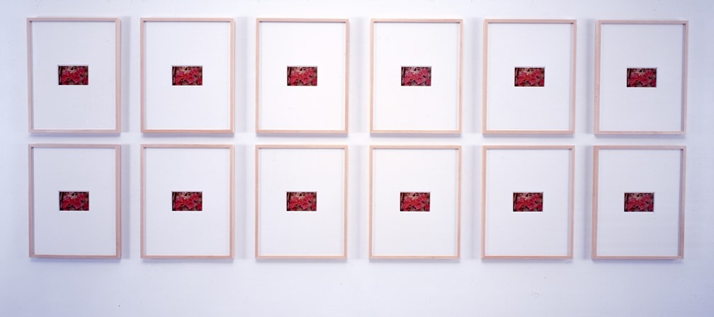 Sherrie Levine "Postcard Collage #6" 2001 12 postcards on matboard each: 20 x 16 in.