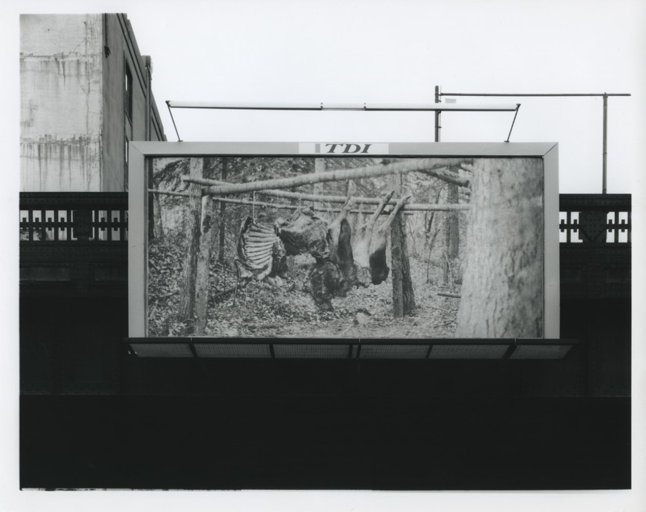 Installation view, Recent Photographs, Paula Cooper Gallery, 534 W 21st Street, New York. January 9 - Febraury 13, 1999. © Zoe Leonard. Courtesy Paula Cooper Gallery, New York. Photo: Dorothy Zeidman.