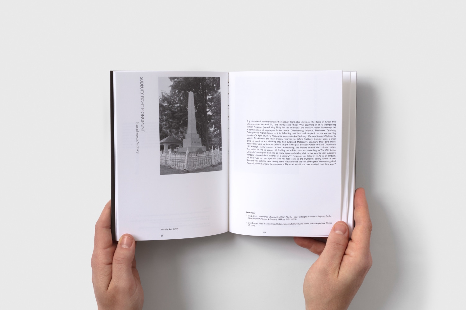 Sam Durant Monuments 2