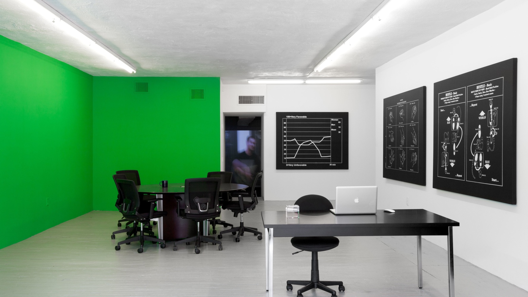 Installation view, Liz Magic Laser, Absolute Event, November 16 – 30, 2013