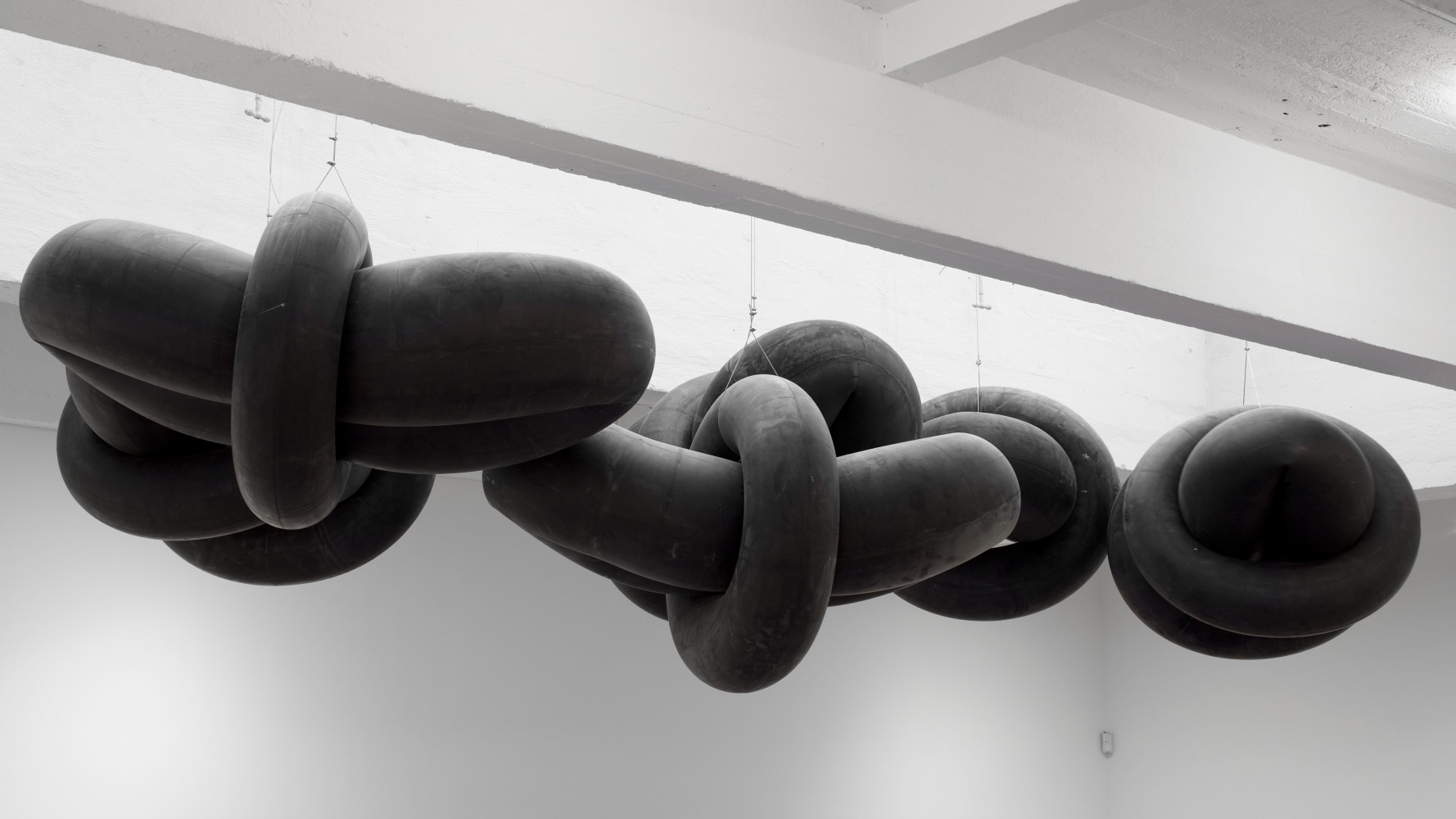 Installation view, Liz Glynn, Justin Matherly, Amy O’Neill, Nadine Robinson, Michael Sailstorfer, Sculpture, January 28 – March 12, 2011