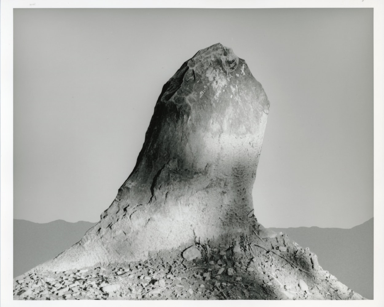 Peter Campus &quot;stump&quot; 1990 Digital photograph 20&quot; x 24&quot; sheet