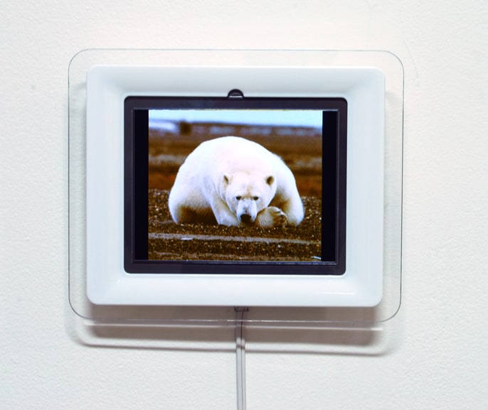 Meg Webster "Bear" 2008 Electronic photographs 7 3/8 x 9 1/4 x 1 3/8 in.